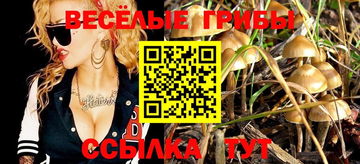 Галлюциногенные грибы Cubensis Грязи